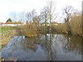 Abbey Ponds