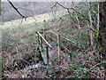 Pompren ger Heol Ddu Newydd / A Footbridge near Heol Ddu Newydd