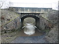 NY7163 : Under a railway bridge, west of Haltwhistle Burn by Christine Johnstone
