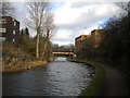 Walsall Canal, Pleck (3)