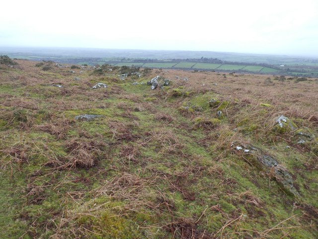 Rough moorland, part of West Devon Way © David Smith cc-by-sa/2.0 ...