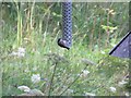 NZ1760 : Coal Tit on Feeder at Thornley Wood Hide by Les Hull
