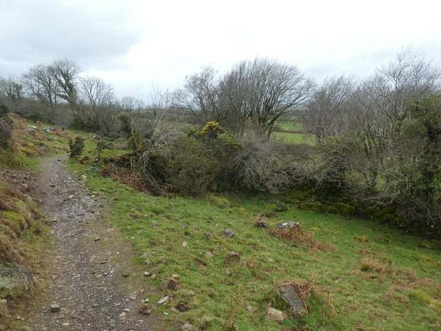Path and hedgebank on South Down