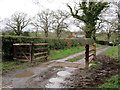 Cattle grid south of Llethr Mill