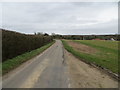 TL9586 : Minor road approaching Bridgham by Peter Wood