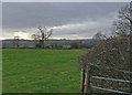 Farmland at West Langton