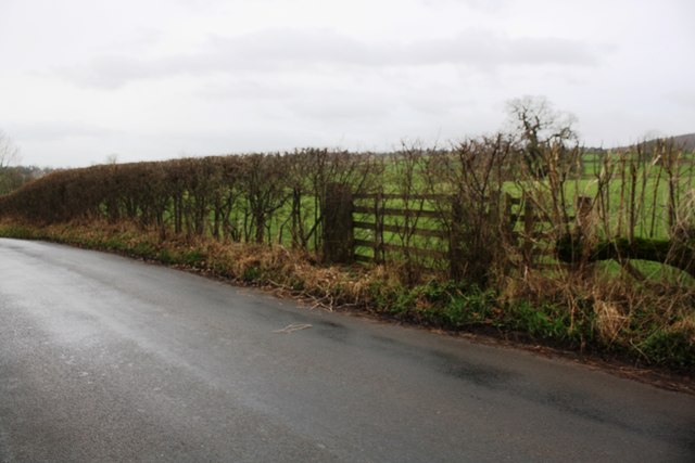 Field gateway off SW side of road opposite Thorn Bank