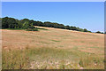 Field near Pencoed