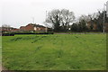TQ6479 : Green by Brentwood Road, Chadwell St Mary by David Howard