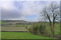 Looking east across the valley of the River Iwerne towards Hambledon Hill