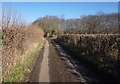 Shuttlesfield Lane towards Mill Down