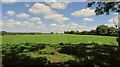 Cattle pasture near Chilsworthy