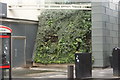 View of a planted wall between the Argos store and Grosvenor Casino on Harrowby Street