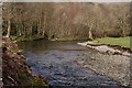 SD1499 : River Esk by Peter Trimming