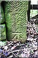 Benchmark on gatepost on SE side of A686