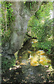 Stream near Lower Lopthorne