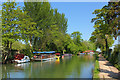 River Thames at Fiddlers Island