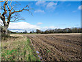 Field margin at edge of Attingham parkland