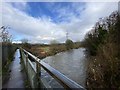 Bridge over the Taff