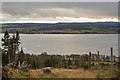 NH6048 : The Beauly Firth by valenta