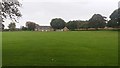 Cricket Pitch