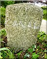 Old Guide Stone by Treworgey Manor Drive