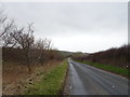 Road towards Burton Fleming