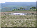 SJ0548 : Small pond on Mynydd Rhyd Ddu by Eirian Evans