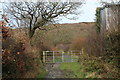 Start of track from Penbryn  to clifftop