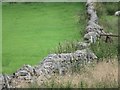 Wheatears on the Wall