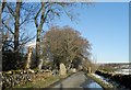 NH7544 : Standing stones on roadside at Clava by Douglas Nelson
