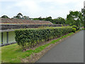 Failed green roof, Tweedbank