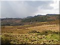 Moorland above Llyn Geirionydd