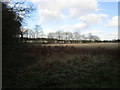 TF2263 : Abandoned field off Wellsyke Lane by Jonathan Thacker