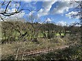 Gwili Steam Railway