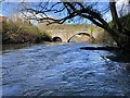 Bronwydd bridge