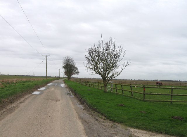 Lane passing Blackjack Farm
