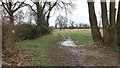 Path heading to Cogdells Lane