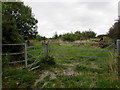 Gates across the SW entrance to Monks Wood in the Vale of Glamorgan