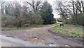 Path to Braid Wood