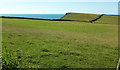 Sheep pasture, Lynstone