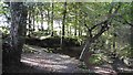 Footpath from Car Park into Annvale Glen