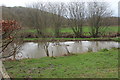 Duck pond, Rhydfelen, Cil-y-cwm Road