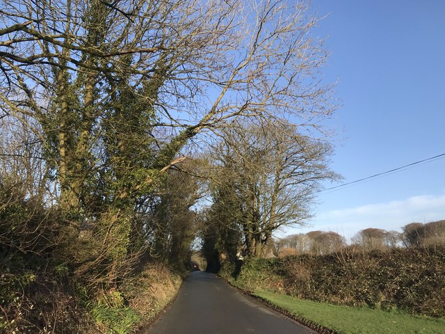 Minor road by Treffry Farm