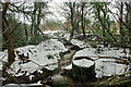 Stream south of bridleway