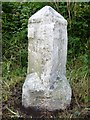 Old Milestone by the A394, near Carveth