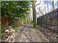 Footpath by railway, Dormans Park