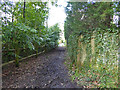 Path through to side road off Eden Vale, Dormans Park