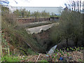 River Tame from the aqueduct on the Gower Branch canal