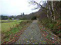 Forest road near Stronvochlan